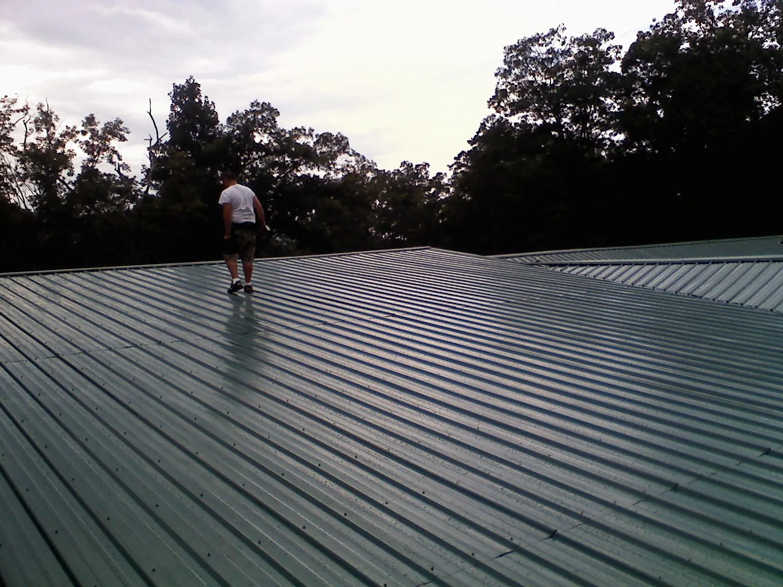 Roofer walking a wide expanse of new green metal roofing in Reva