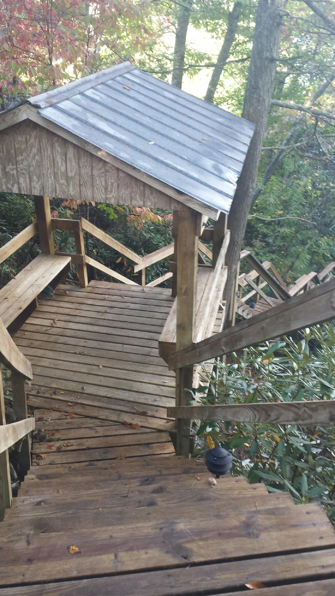 Metal roofed shelter over wooden steps on a wooded walkway — Skylight Repair & Installation work by our crew in Reva